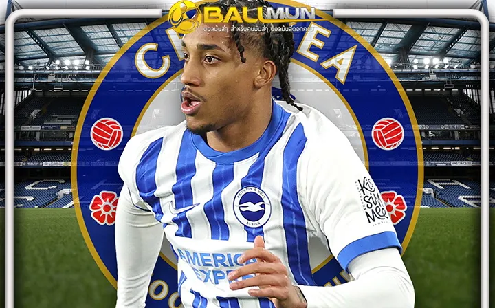 ดูบอลสด มาอีกรายแล้ว สิงห์บลู ตกลงคว้า เจา เปโดร จาก ไบร์ทตัน ตัดหน้า นิวคาสเซิ่ล มูลค่า 60 ล้านปอนด์